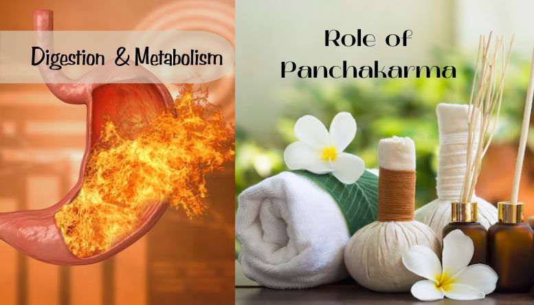 Harmonizing Digestion and Metabolism: The Role of Panchakarma in Ayurveda