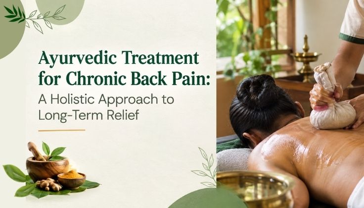 Ayurvedic Treatment for Chronic Back Pain: A Holistic Approach to Long-Term Relief